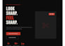 build a responsive website for your buisness or project